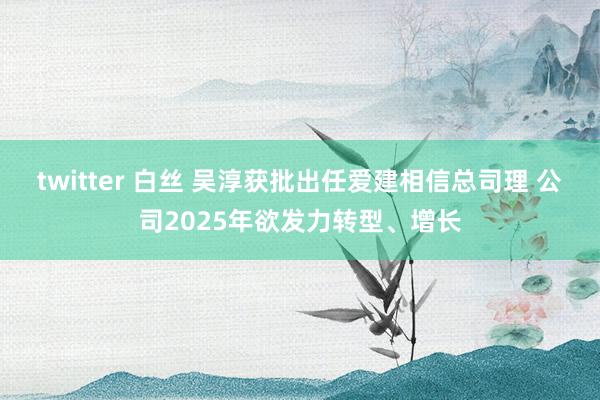 twitter 白丝 吴淳获批出任爱建相信总司理 公司2025年欲发力转型、增长