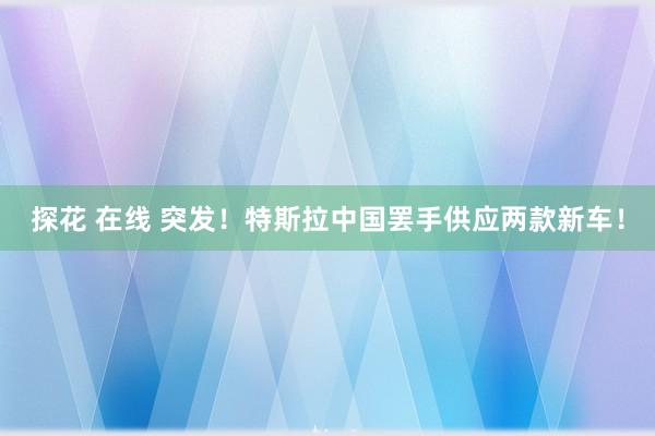 探花 在线 突发！特斯拉中国罢手供应两款新车！