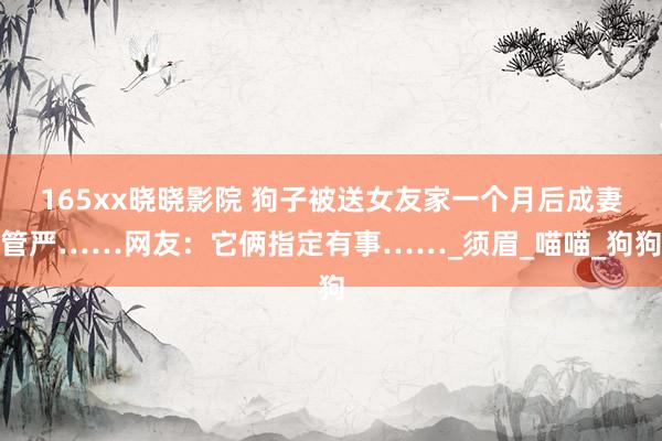 165xx晓晓影院 狗子被送女友家一个月后成妻管严……网友：它俩指定有事……_须眉_喵喵_狗狗