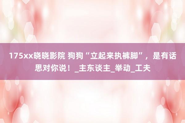 175xx晓晓影院 狗狗“立起来执裤脚”，是有话思对你说！_主东谈主_举动_工夫