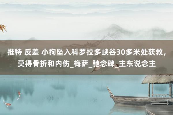 推特 反差 小狗坠入科罗拉多峡谷30多米处获救，莫得骨折和内伤_梅萨_驰念碑_主东说念主