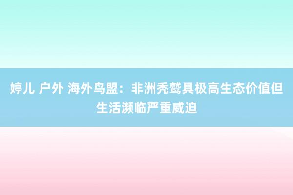 婷儿 户外 海外鸟盟：非洲秃鹫具极高生态价值但生活濒临严重威迫