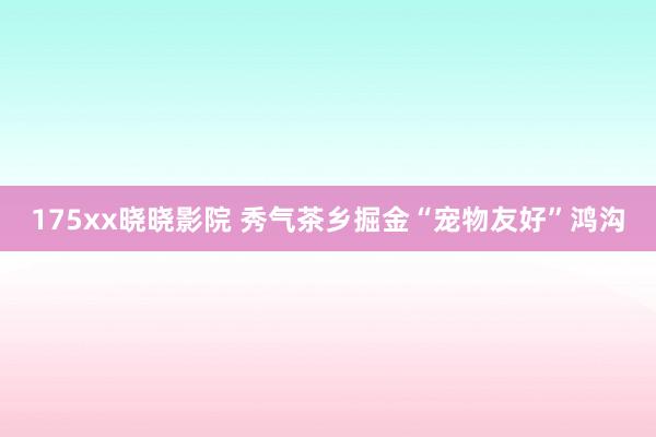 175xx晓晓影院 秀气茶乡掘金“宠物友好”鸿沟