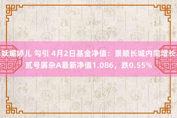 妖媚婷儿 勾引 4月2日基金净值：景顺长城内需增长贰号羼杂A最新净值1.086，跌0.55%