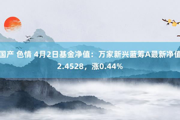 国产 色情 4月2日基金净值：万家新兴蓝筹A最新净值2.4528，涨0.44%