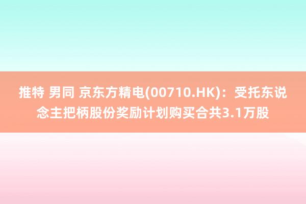 推特 男同 京东方精电(00710.HK)：受托东说念主把柄股份奖励计划购买合共3.1万股