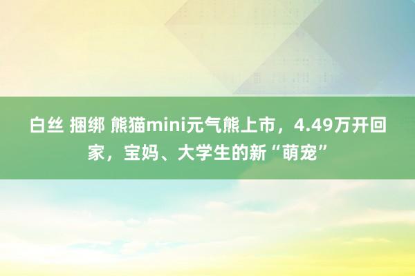 白丝 捆绑 熊猫mini元气熊上市，4.49万开回家，宝妈、大学生的新“萌宠”