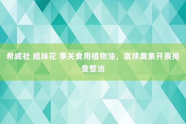希威社 姐妹花 事关食用植物油，寰球麇集开展排查整治