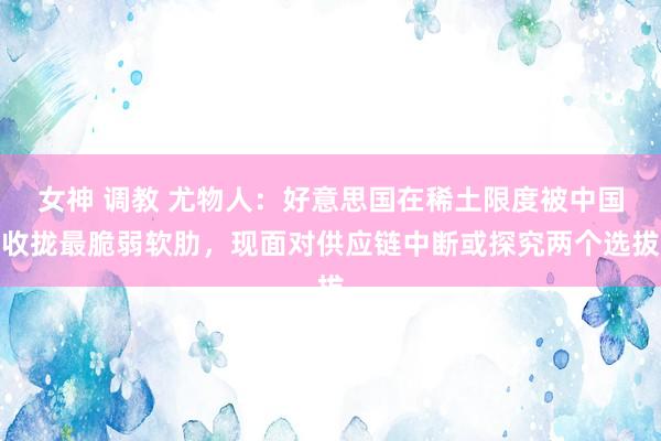 女神 调教 尤物人：好意思国在稀土限度被中国收拢最脆弱软肋，现面对供应链中断或探究两个选拔