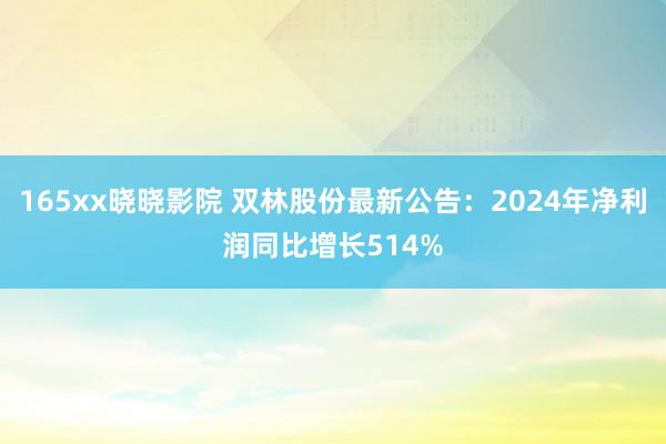 165xx晓晓影院 双林股份最新公告：2024年净利润同比增长514%
