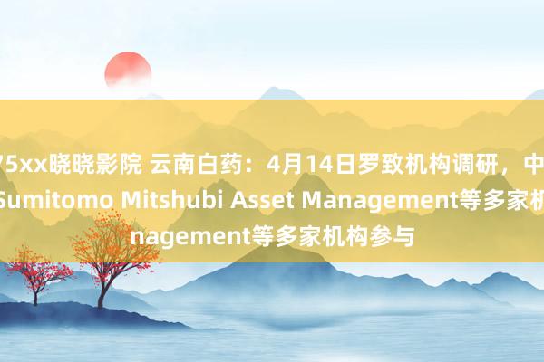 175xx晓晓影院 云南白药：4月14日罗致机构调研，中信里昂、Sumitomo Mitshubi Asset Management等多家机构参与