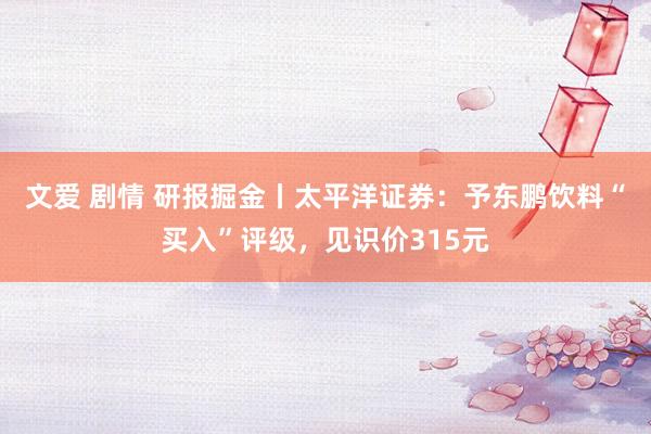 文爱 剧情 研报掘金丨太平洋证券：予东鹏饮料“买入”评级，见识价315元