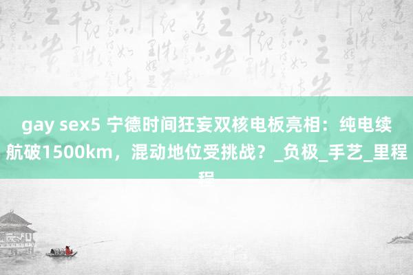 gay sex5 宁德时间狂妄双核电板亮相：纯电续航破1500km，混动地位受挑战？_负极_手艺_里程