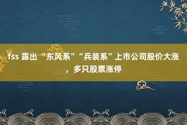 fss 露出 “东风系”“兵装系”上市公司股价大涨，多只股票涨停