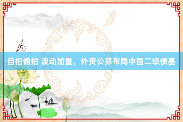 自拍偷拍 波动加重，外资公募布局中国二级债基