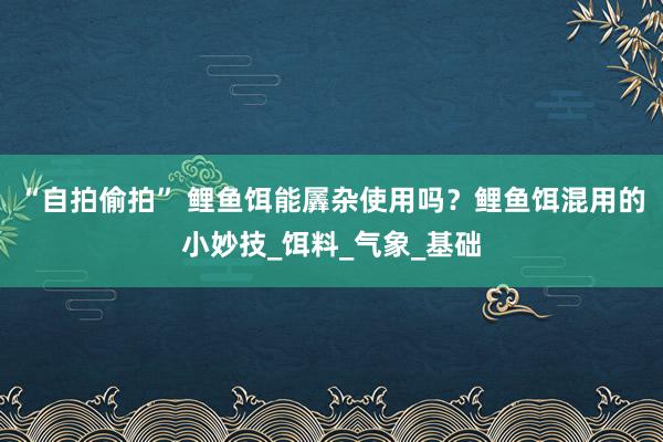 “自拍偷拍” 鲤鱼饵能羼杂使用吗？鲤鱼饵混用的小妙技_饵料_气象_基础