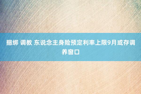捆绑 调教 东说念主身险预定利率上限9月或存调养窗口