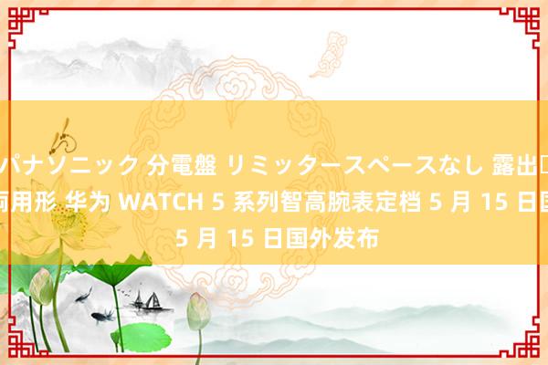パナソニック 分電盤 リミッタースペースなし 露出・半埋込両用形 华为 WATCH 5 系列智高腕表定档 5 月 15 日国外发布